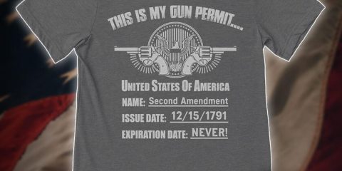 freedom friday gun permit