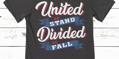united we stand divided we fall