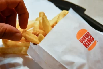 burger king fries trash