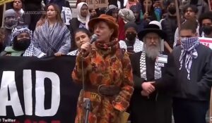 Susan Sarandon Slammed for Taking Shot at Jews in Pro-Palestine Comments