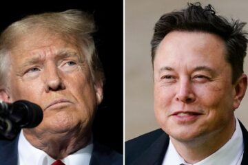 donald trump elon musk