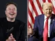 donald trump elon musk conversation