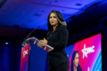 tulsi gabbard