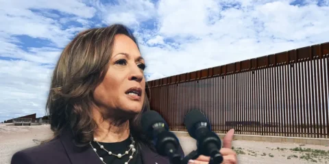 kamala harris border wall stupid