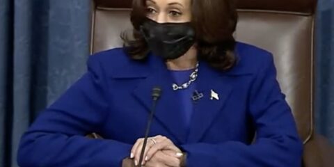 vp harris wearing a mask and a blue blazer