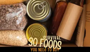 30 Survival Foods: Essential Picks for Any Emergency