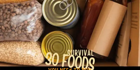 30 survival foods you need to buy