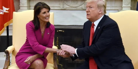 nikki haley