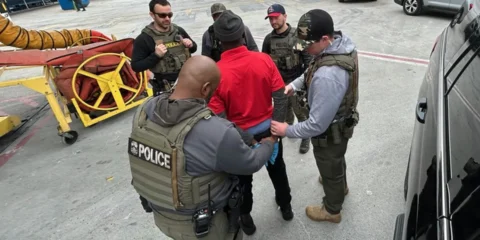 ice arrests