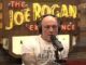 joe rogan