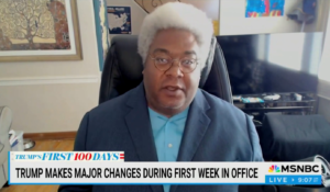Far-Left MSNBC Guest Blasts 'White Folks' in Unhinged Rant