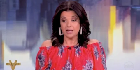 the view co-host ana navarro