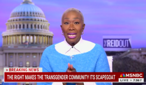 MSNBC Cancels Show in Major Network Shake-Up