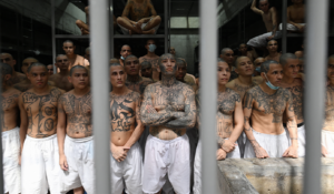 AG Pam Bondi Shares Chilling Details About MS-13 Leader Caught in Virginia