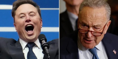 elon musk chuck schumer
