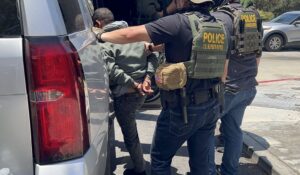 Border Chief Reveals 'Phenomenal' Shift as Migrant Releases Plummet