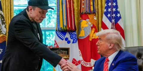 elon musk and trump