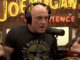 joe rogan