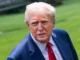 president donald trump