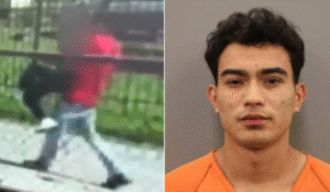 Surveillance Camera Catches Illegal Migrant Dragging Screaming Woman Back to His Home