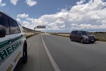 mesa county sheriffs office