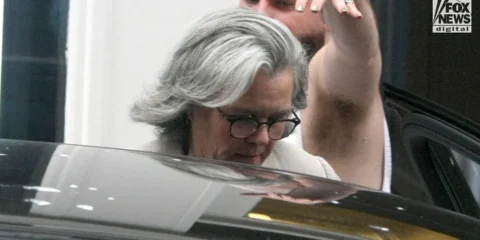 rosie o donnell