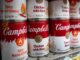 campbells soup