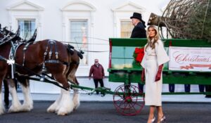 Melania Trump Welcomes The White House Christmas Tree 🎄