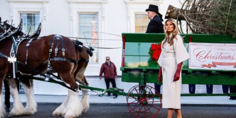 melania trump christmas tree