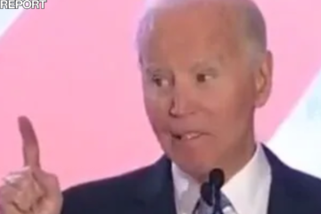 biden amerigotit