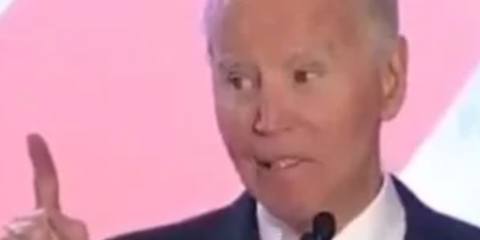biden amerigotit