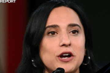 democratic rep yassamin ansari 25th amendment