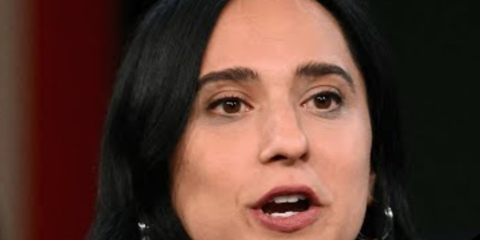 democratic rep yassamin ansari 25th amendment