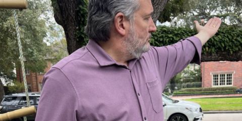 ted cruz mocks twitter trolls