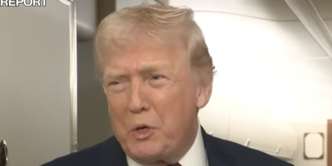 trump stupid question