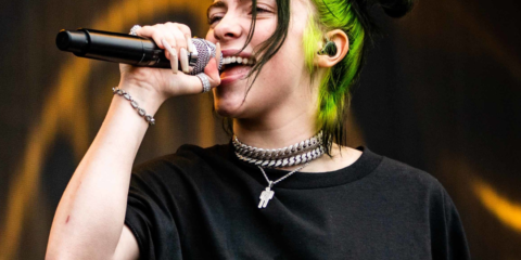 billy eilish grammy stolen land