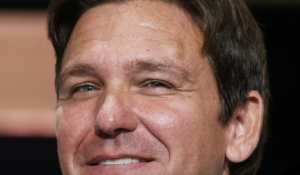 'English Only': Florida Challenges Foreign Drivers After Devastating Crashes Killed Americans