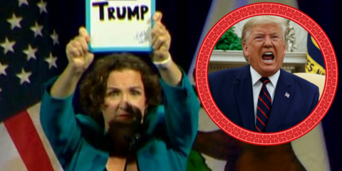 katie porter california gubernatorial candidate f trump (1)