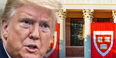 trump harvard