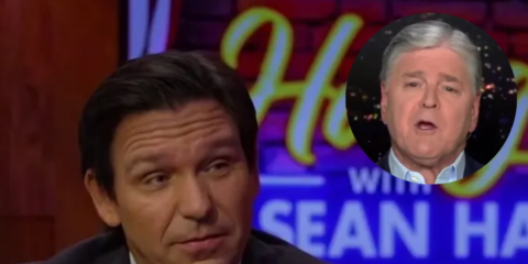 florida governor ron desantis 2028